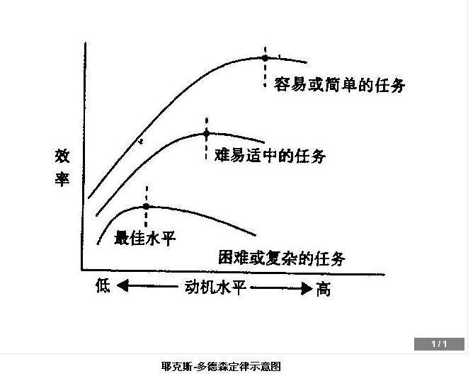 新闻中心 侨中新闻 正文 研究表明,中等强度的学习动机,学习