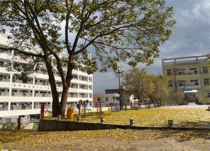 南安市诗山中学2022年秋季编外教师招聘通告